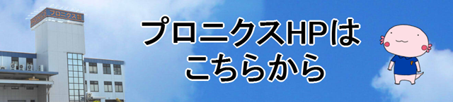 プロニクス株式会社